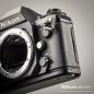 Preview: Nikon F501 (Condition A-)