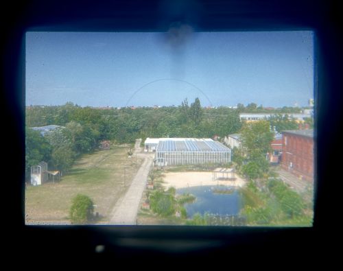Nikon F "Eyelevel" mit Nikkor-SC 50/1,4 (Zustand AB)