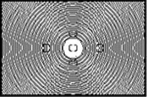 Focusing screen for Nikon F5 Type EC-B