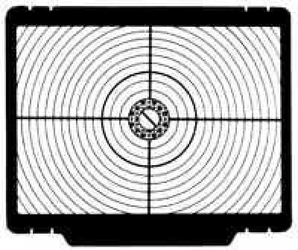 Focusing screen for Nikon F4 Type P