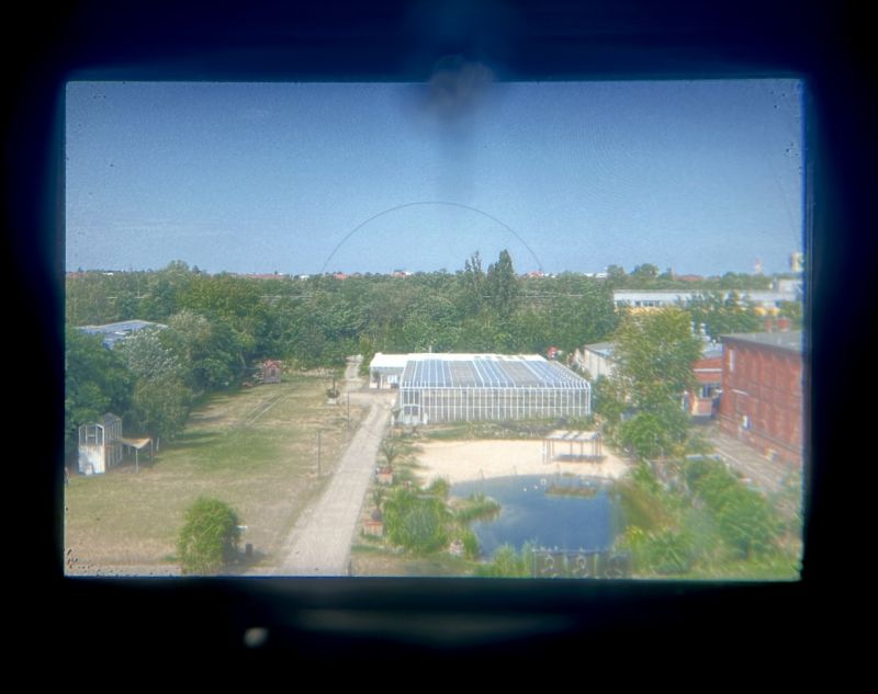 Nikon F "Eyelevel" mit Nikkor-SC 50/1,4 (Zustand AB)