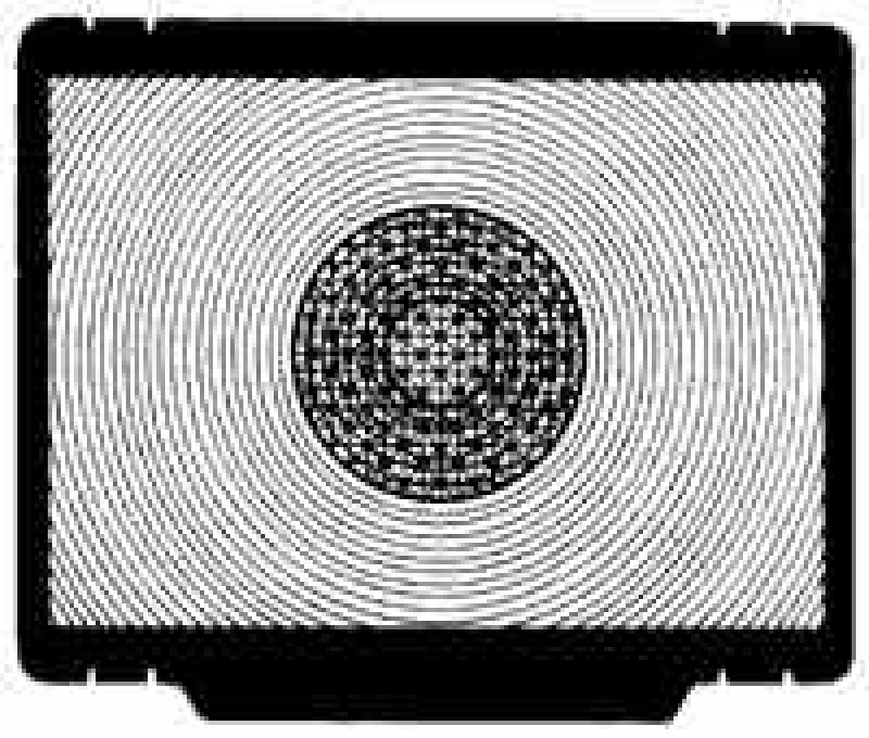 Focusing screen for Nikon F4 Type G2